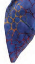 Load image into Gallery viewer, Revaz Pebbles Pretied Headscarf-HS 708 - COZY HOSE