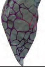 Load image into Gallery viewer, Revaz Pebbles Pretied Headscarf-HS 708 - COZY HOSE