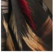 Revaz Paint Strokes Pretied