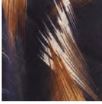Revaz Paint Strokes Pretied